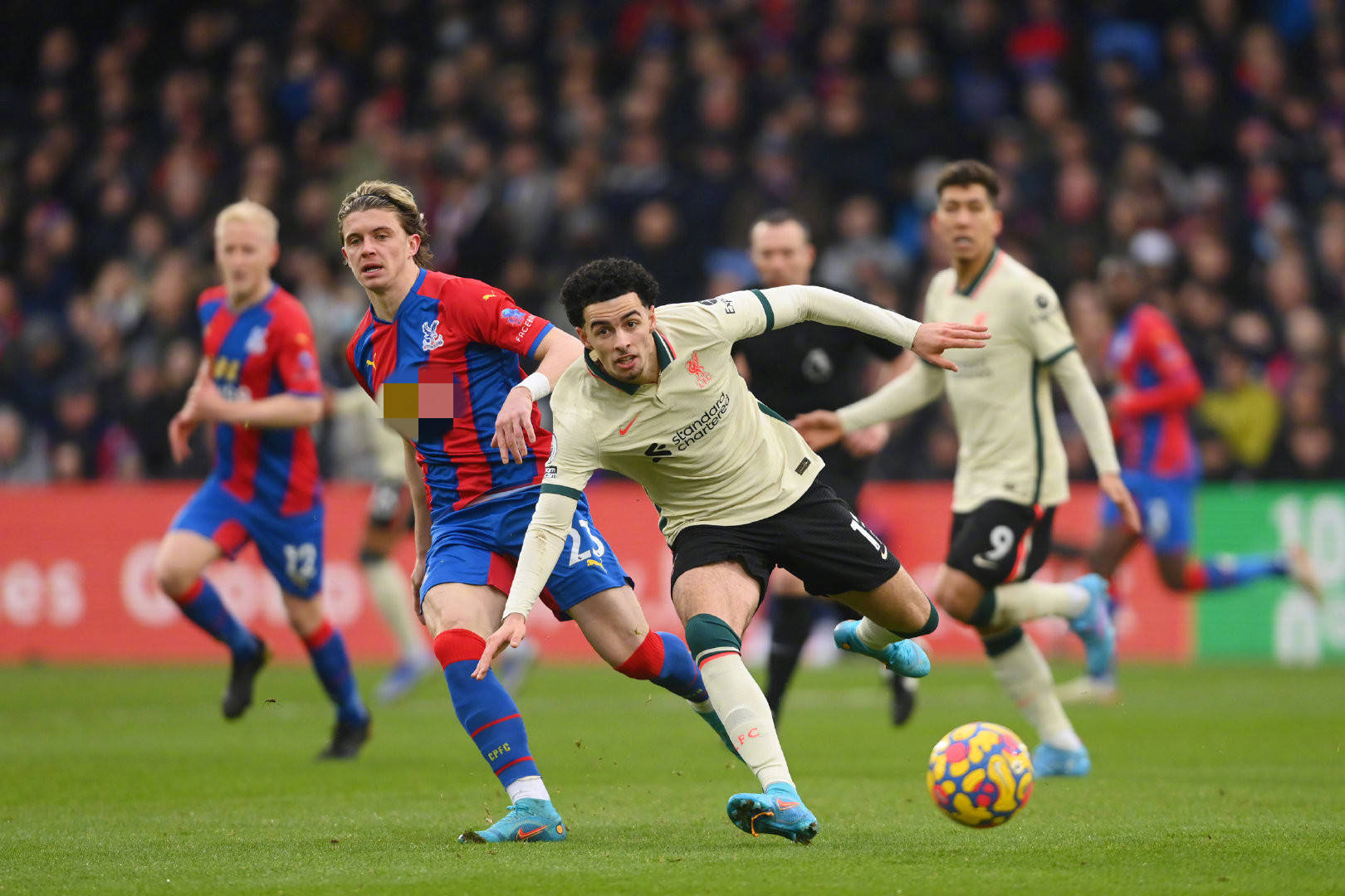 球迷中拥有 球迷中拥有